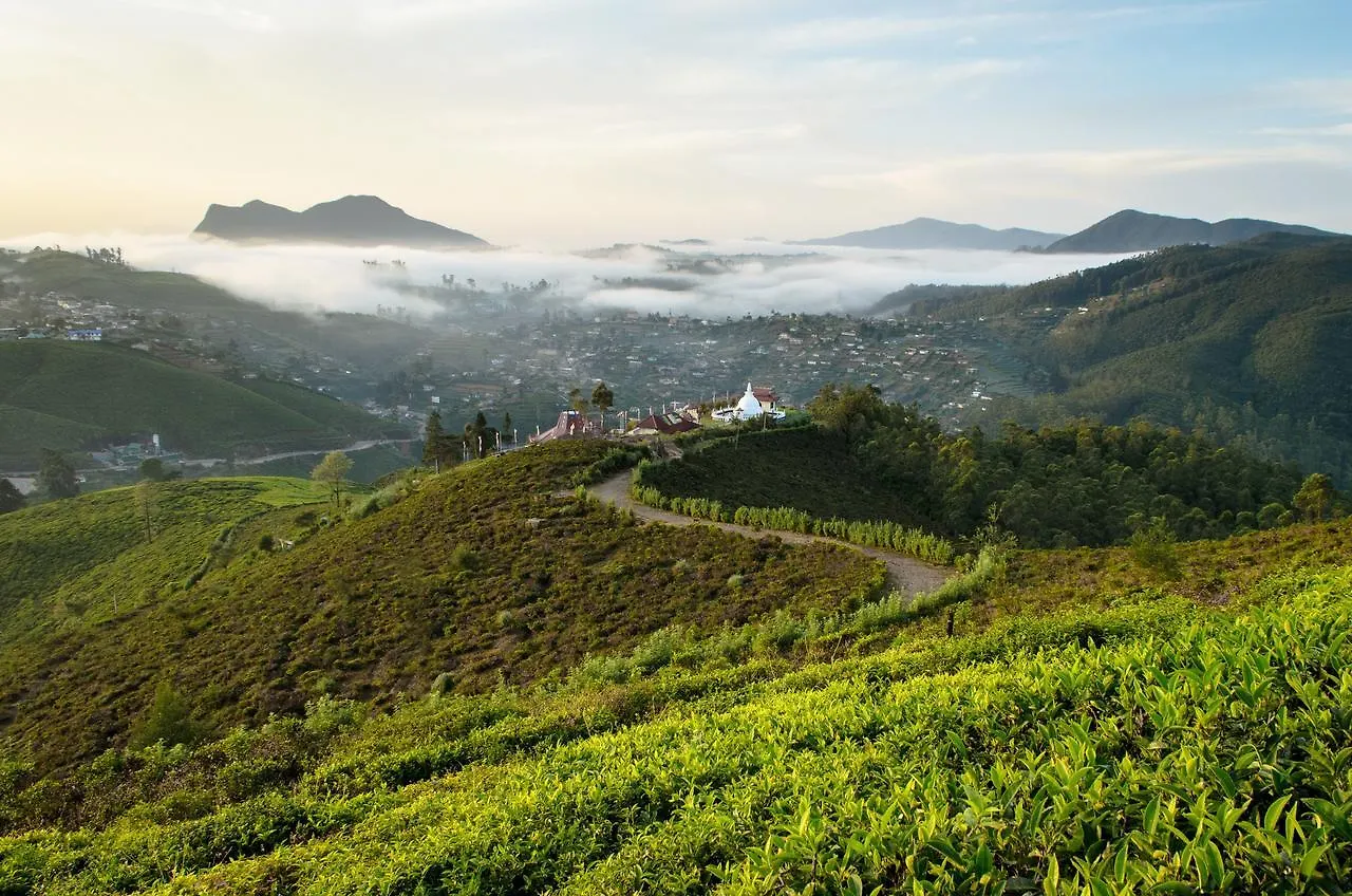Hill Pride City Hotel Nuwara Eliya 3*,